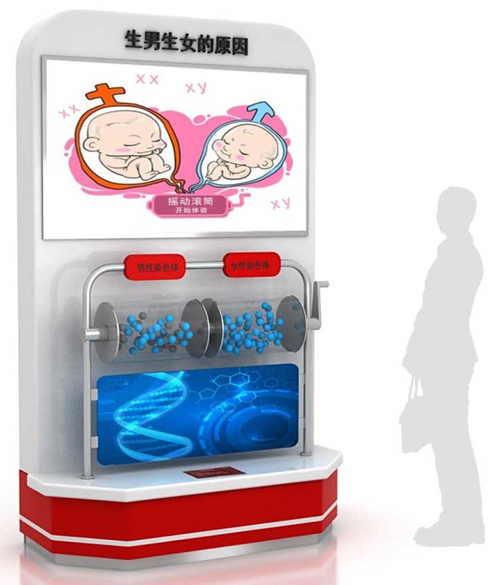 生男生女的原因.jpg
